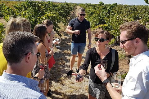 Micro-Group Barossa Valley Wine Tour From Adelaide - Accommodation Port Macquarie 8