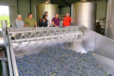 Micro-Group Barossa Valley Wine Tour From Adelaide - Accommodation Port Macquarie 4