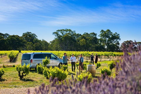 Micro-Group Barossa Valley Wine Tour From Adelaide - Accommodation Port Macquarie 2