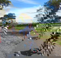 McLaren Vale Wine Tour by Bike - Accommodation Port Macquarie