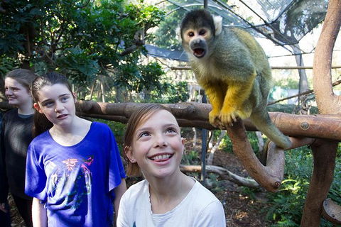 Adelaide Zoo Behind The Scenes Experience: Squirrel Monkey Feeding - Accommodation Port Macquarie 1