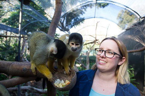 Adelaide Zoo Behind The Scenes Experience: Squirrel Monkey Feeding - Accommodation Port Macquarie 0