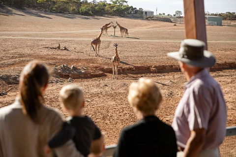 Monarto Safari Park General Admission Ticket - Accommodation Port Macquarie 0