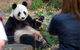 Adelaide Zoo Behind The Scenes Experience: Panda And Friends Tour - thumb 1