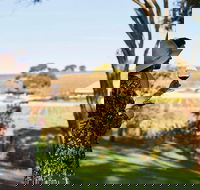 Micro-Group McLaren Vale Wine Tour from Adelaide - Accommodation Port Macquarie