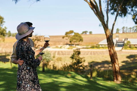 Micro-Group McLaren Vale Wine Tour From Adelaide - Accommodation Port Macquarie 0