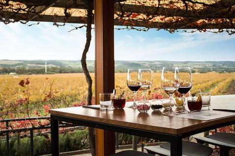 Micro-Group McLaren Vale Wine Tour From Adelaide - Accommodation Port Macquarie 2