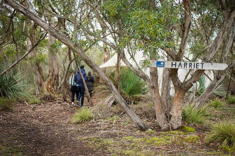 2-Day Kangaroo Island 4WD Small-Group Tour From Adelaide - Accommodation Port Macquarie 3