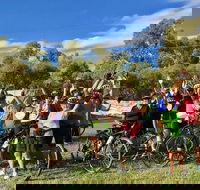 McLaren Vale Shiraz Trail Cycling Tour from Adelaide - Accommodation Port Macquarie