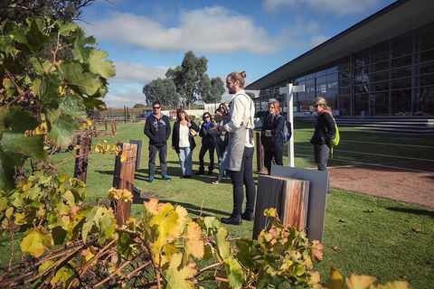 Barossa Valley Day Trip From Adelaide - Accommodation Port Macquarie 0