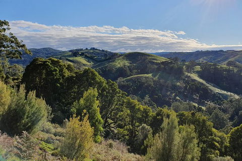3-Day Adelaide To Melbourne Tour Including The Great Ocean Road - Accommodation Port Macquarie 7