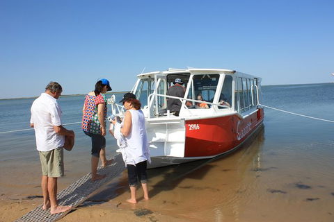Coorong National Park Wildlife Cruise From Goolwa - Accommodation Port Macquarie 5