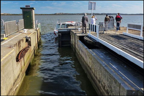 Coorong National Park Wildlife Cruise From Goolwa - Accommodation Port Macquarie 4