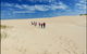 Coorong National Park Wildlife Cruise From Goolwa - thumb 3