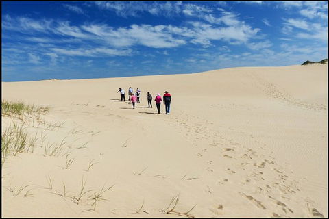 Coorong National Park Wildlife Cruise From Goolwa - Accommodation Port Macquarie 3