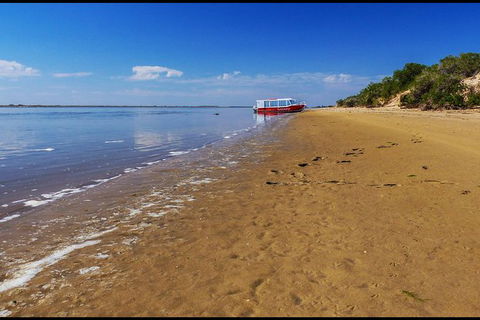 Coorong National Park Wildlife Cruise From Goolwa - Accommodation Port Macquarie 6