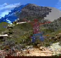 7 Days Camping Flinders Ranges Coober Pedy Kings Canyon Uluru - Accommodation Port Macquarie