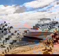 Coorong Discovery Cruise - Accommodation Port Macquarie