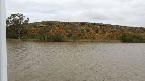Murray River Riverboat Tour Including Lunch From Adelaide - Accommodation Port Macquarie 9