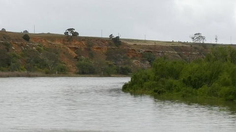 Murray River Riverboat Tour Including Lunch From Adelaide - Accommodation Port Macquarie 6