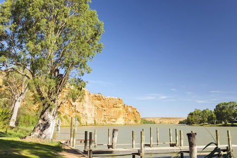 Murray River Riverboat Tour Including Lunch From Adelaide - Accommodation Port Macquarie 1