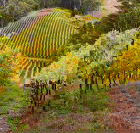 Private Adelaide Hills Wine Region Tour - Accommodation Port Macquarie