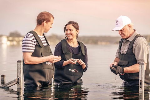 3-Day Port Lincoln And Coffin Bay Private Tour From Adelaide - Accommodation Port Macquarie 0
