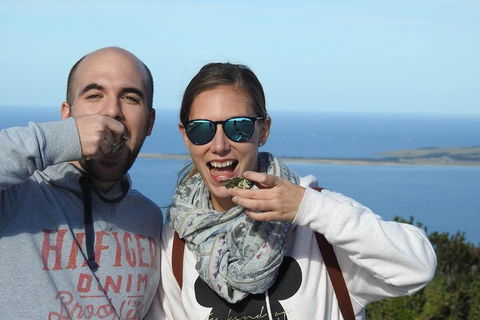 3-Day Port Lincoln And Coffin Bay Private Tour From Adelaide - Accommodation Port Macquarie 1