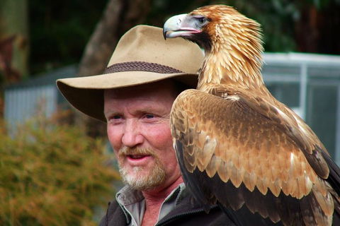 Kangaroo Island Wildlife Day Trip From Adelaide Including Seal Bay - Accommodation Port Macquarie 0