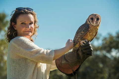 Kangaroo Island Wildlife Day Trip From Adelaide Including Seal Bay - Accommodation Port Macquarie 1