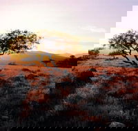 Adelaide To Coober Pedy 7 DAY SMALL GROUP 4WD SAFARI - Accommodation Port Macquarie