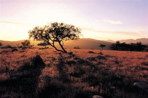 Adelaide To Coober Pedy 7 DAY SMALL GROUP 4WD SAFARI - Accommodation Port Macquarie 0