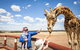 Giraffe Safari And A Day At Monarto Safari Park - thumb 0