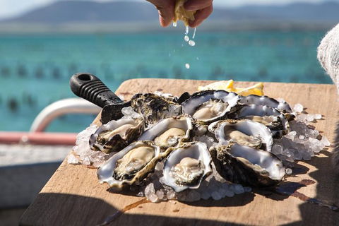 Experience Coffin Bay Short And Sweet Oyster Farm Tour - Accommodation Port Macquarie 0