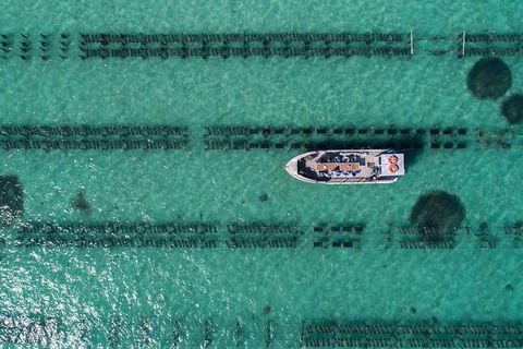 Experience Coffin Bay Short And Sweet Oyster Farm Tour - Accommodation Port Macquarie 1