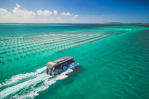 Experience Coffin Bay Short And Sweet Oyster Farm Tour - Accommodation Port Macquarie 2