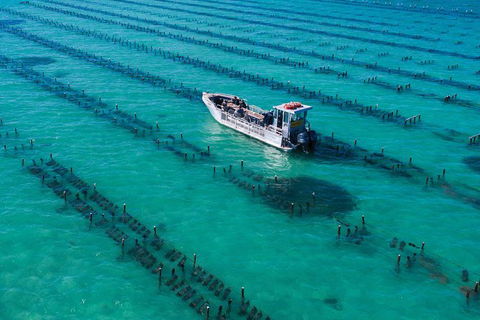 Experience Coffin Bay Short And Sweet Oyster Farm Tour - Accommodation Port Macquarie 7