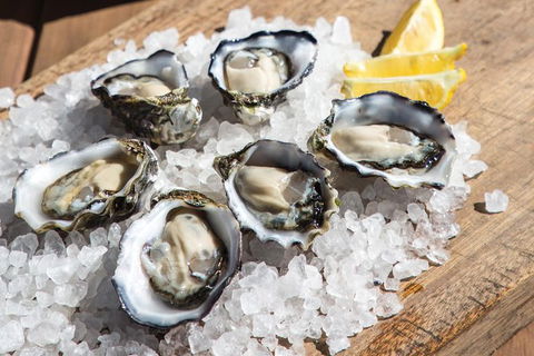 Experience Coffin Bay Short And Sweet Oyster Farm Tour - Accommodation Port Macquarie 3