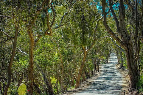 Get UnCorked In Clare Valley Tour From Adelaide - Accommodation Port Macquarie 6