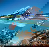 3-Day Southern Great Barrier Reef Tour Including Lady Musgrave Island - Accommodation Port Macquarie