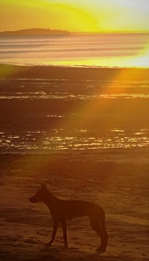 3-Day Fraser Island Resort Package - Accommodation Port Macquarie 3