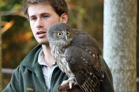 3-Day Fraser Island Resort Package - Accommodation Port Macquarie 5