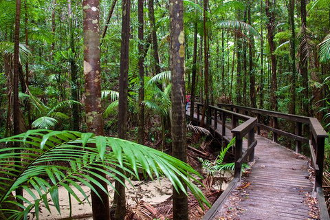 3-Day Fraser Island Resort Package - Accommodation Port Macquarie 8