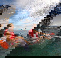 Moreton Island Day Trip Kayak Snorkel  Sandboard frm Brisbane or Gold Coast - Accommodation Port Macquarie