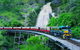 Full-Day Tour With Kuranda Scenic Railway, Skyrail Rainforest Cableway, And Hartley's Crocodile Adventures From Cairns - thumb 0
