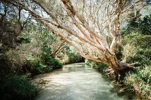 All-Inclusive 2-Day Fraser Island Tour - Accommodation Port Macquarie 11