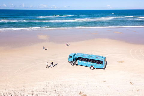 All-Inclusive 2-Day Fraser Island Tour - Accommodation Port Macquarie 2