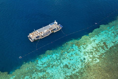 2-Day Great Barrier Reef Reefsleep Experience - Accommodation Port Macquarie 2