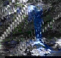 You Choose the Tour Brisbane Private Chauffeur Driven Personal Tour - Accommodation Port Macquarie