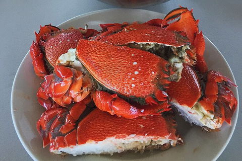 Crab Trip From Gold Coast - Accommodation Port Macquarie 28